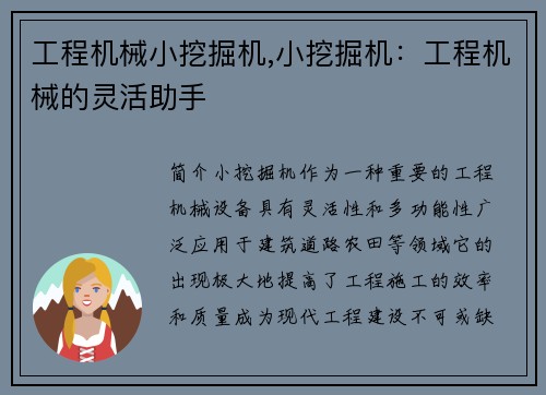 工程机械小挖掘机,小挖掘机：工程机械的灵活助手