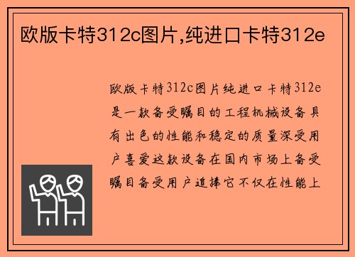 欧版卡特312c图片,纯进口卡特312e